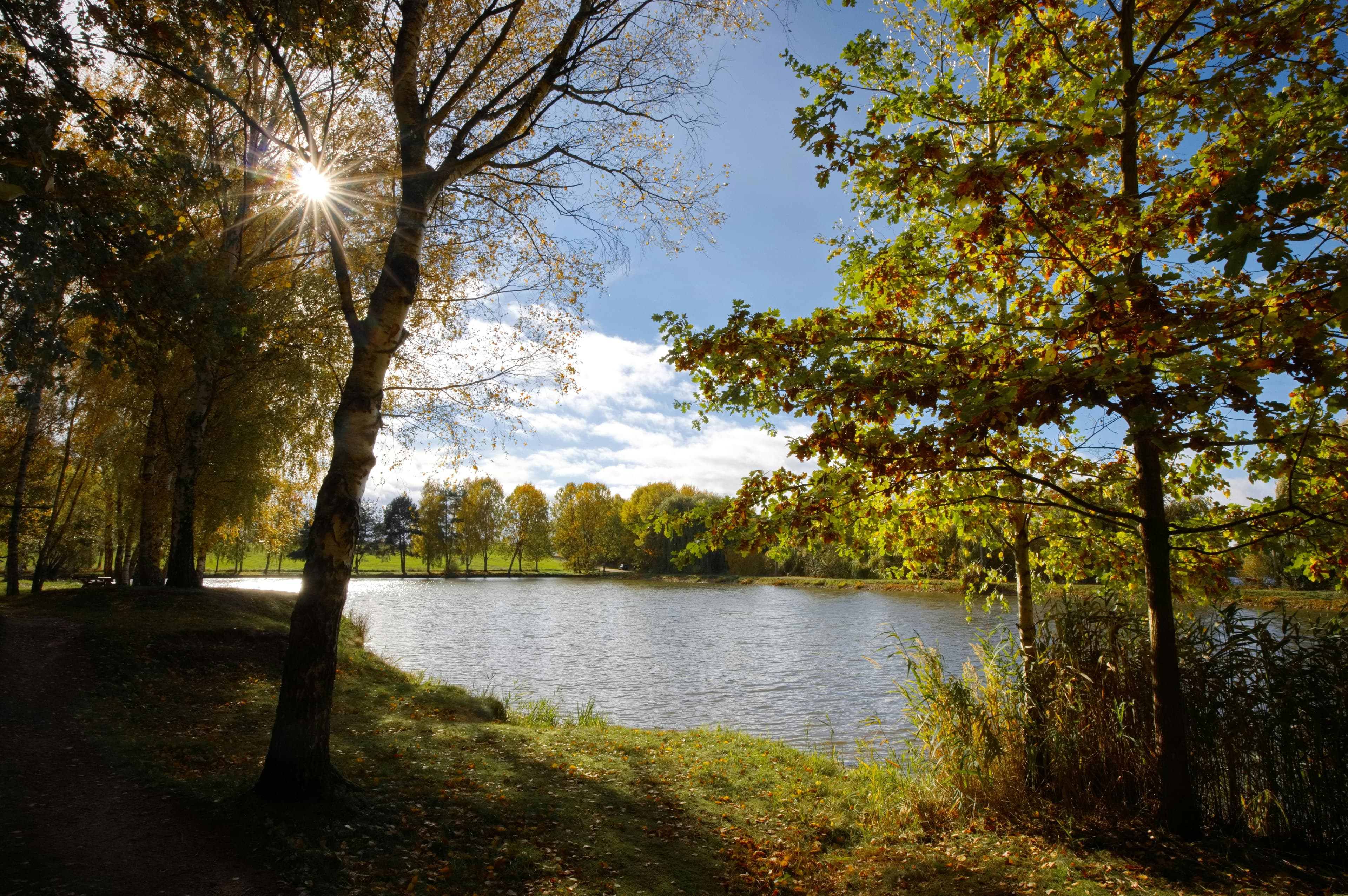 Individuele begeleiding